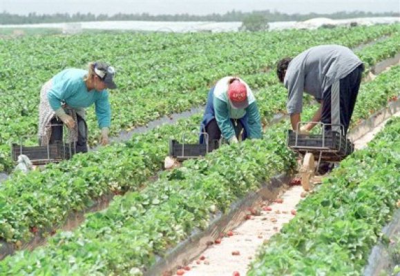 Statul va înfiinţa un fond de creditare a agricultorilor